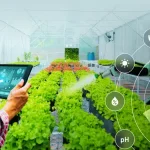 use-of-modern-technology-in-agriculture